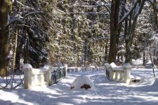 Steinway Park Seesen im Winter